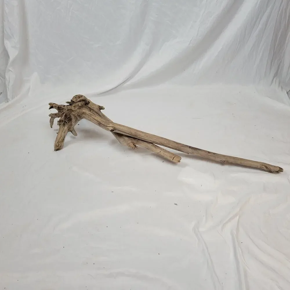 Ohio River Driftwood 42